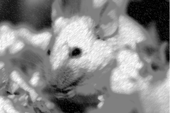 Distorted-mouse-560x371