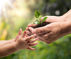 hands-hold-plant-growth-potential-300x250