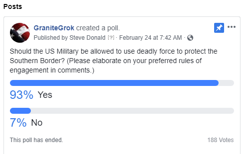 Poll - Military force at the border