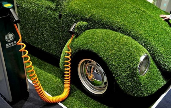 Grass-covered Beetle