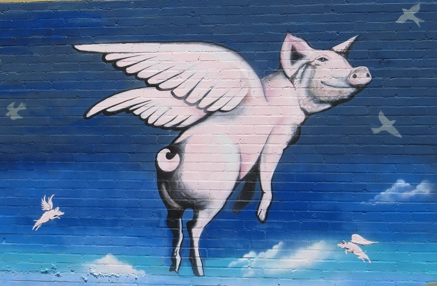 Flying Pigs