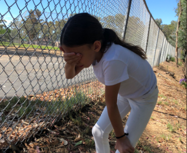 MiniAOC Mocks AOC Border pic fraud