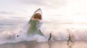 shark beach people waves