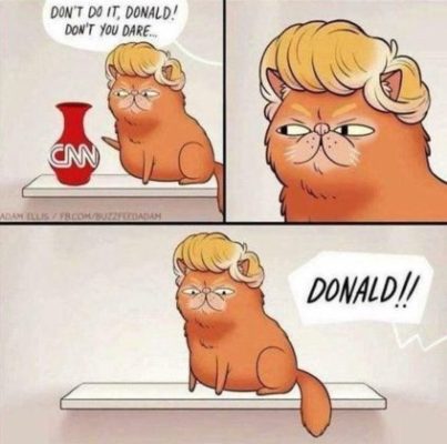 Donald Cat, CNN Vase