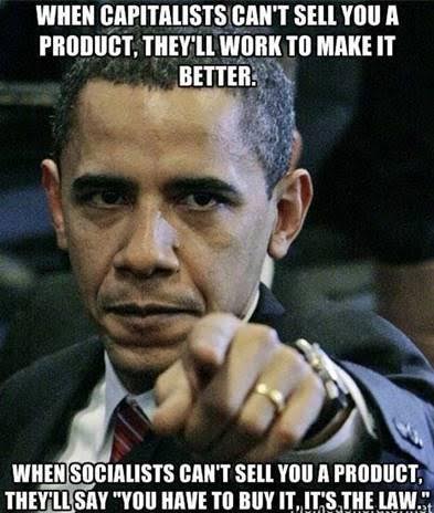 What Role Does the Government Play?