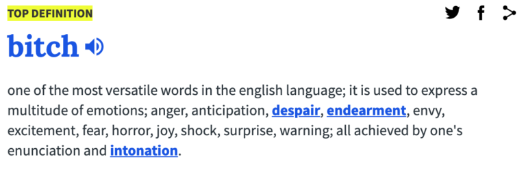 Definition - Bitch