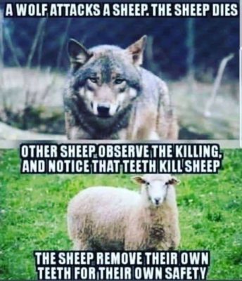 Sheep vs wolves