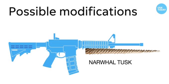 AR-15 with Narwhal tusk attachment