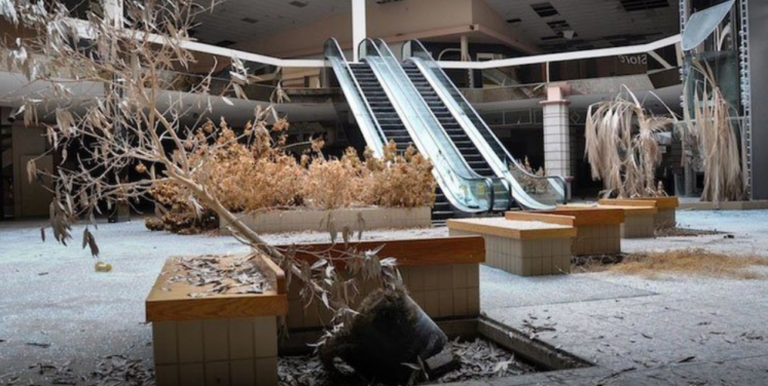 Abandoned mall dead plant