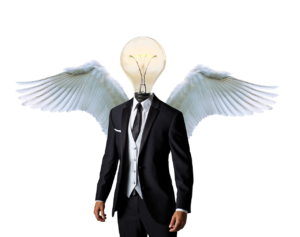 Angel Investor
