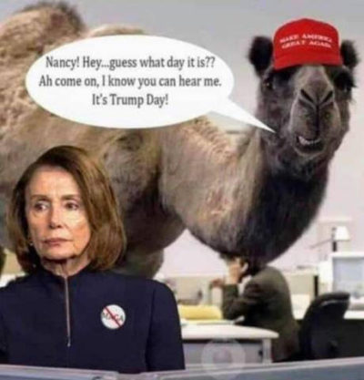 Pelosi Realizes Impeachment Was a Mistake