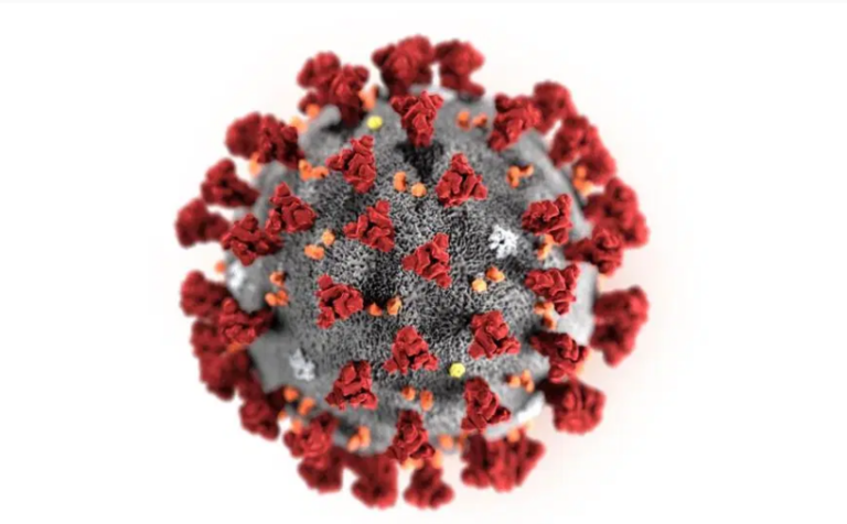 Coronavirus Image- Bostong herald