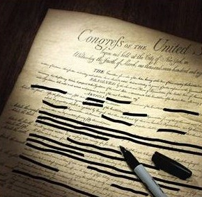 edited constitution
