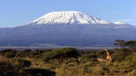 kilimanjaro