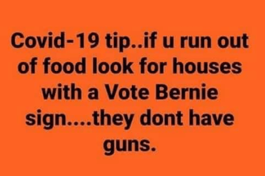Bernie Bros dont have guns