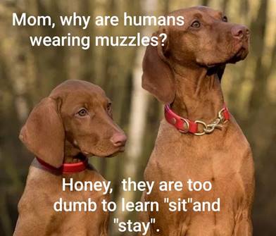 Should you be a Slave to my fears?