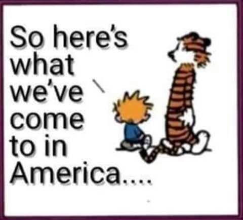 Democrats on Coronavirus and jails FI