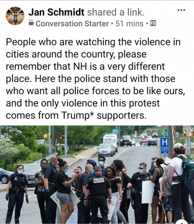 Jan Schmidt Riots Trump Supporters