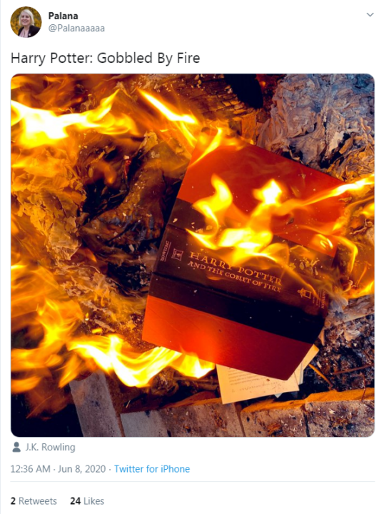 Palana Belken Book Burning