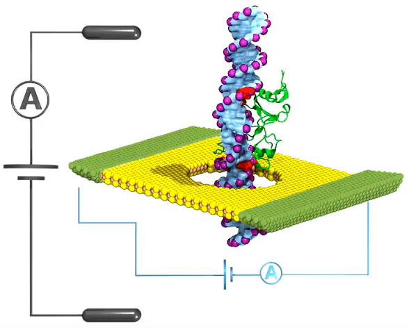 nanopore