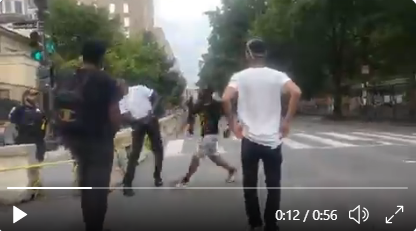 BLM protester punhces black trump supporter