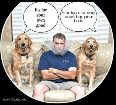 Suspension of the U.S. Constitution