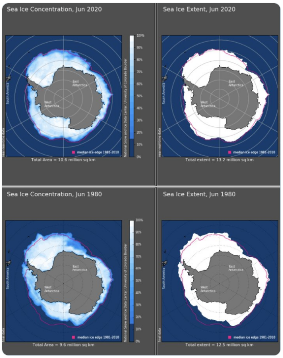 Larger-concenration-of-Antarctic-sea-ice-in-Jun-2020-than-Jun-1980