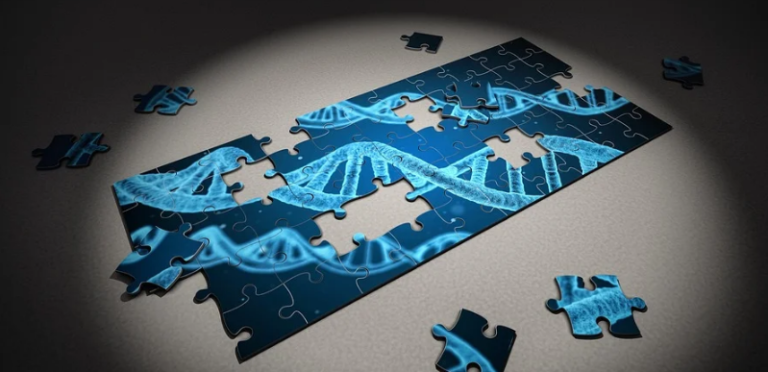 Genetics puzzle genes pieces