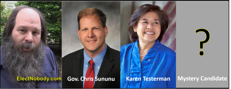 Gov canddiates NH Repub Primary