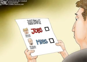 The Leftists will not protect your vote