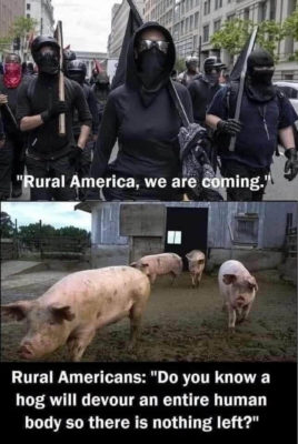 New York the Empire State