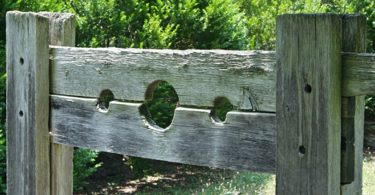 Stocks pillory crime punishment