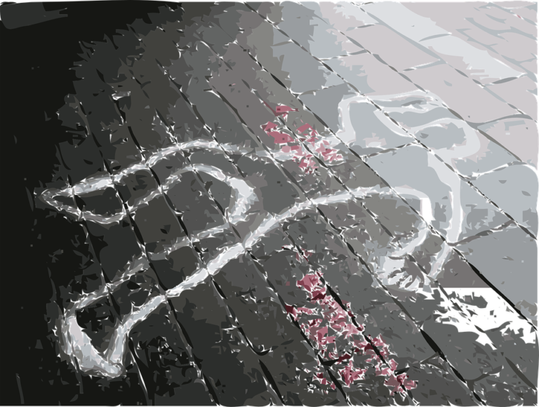 crime-scene-30112_960_720