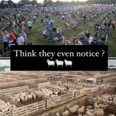 Sheeple