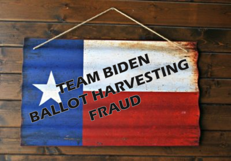 Biden Texas Ballot Harvesting