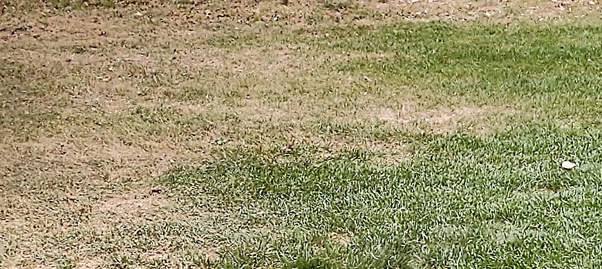 Lawn split