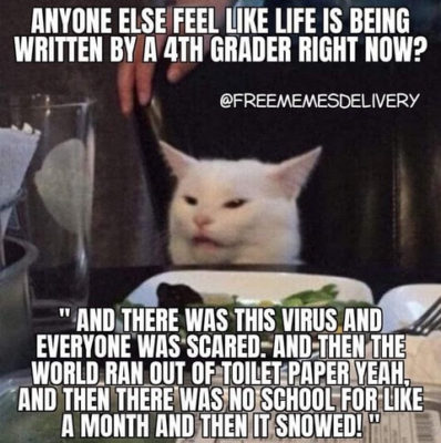 The Scientific Value