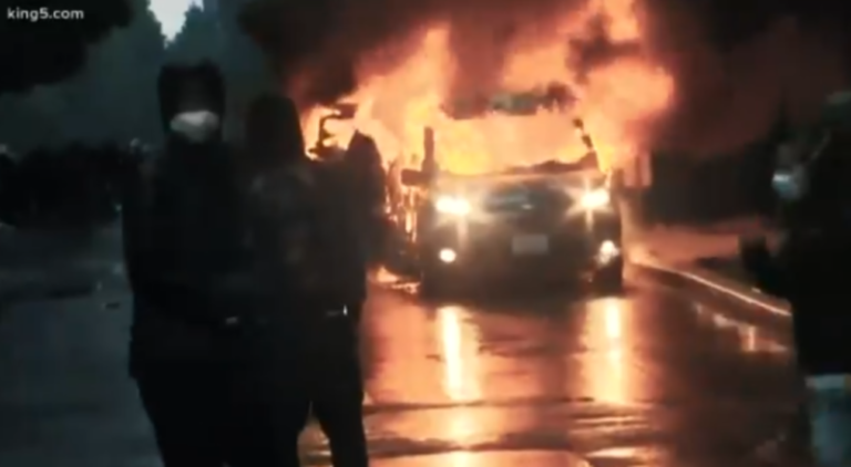 Democrat Destruction