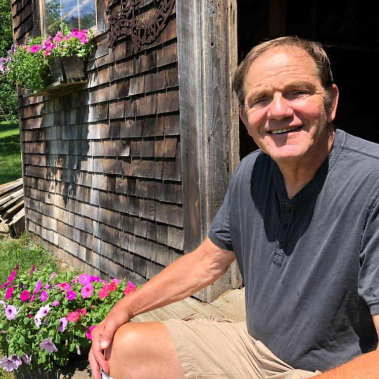 Destruction and removal of political signs