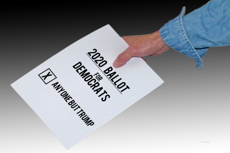 Voting for Corruption