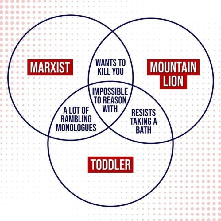 marxist-mountain-lions-toddlers-venn-diagram-720x720