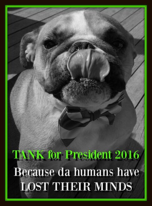 Tank for President