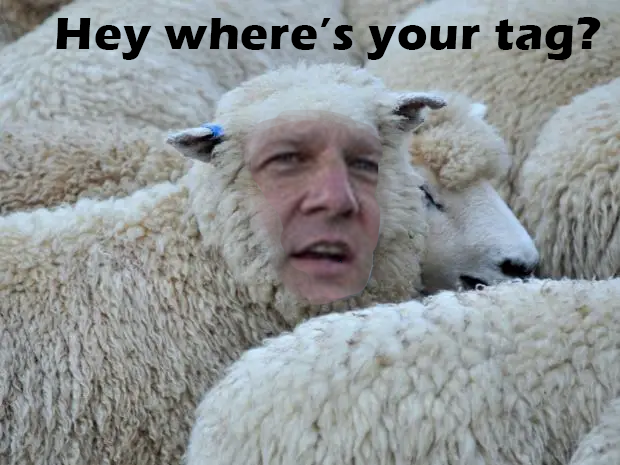 Sununu as a lamb