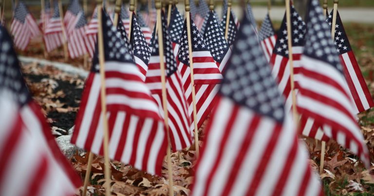 Veterans Day american flags