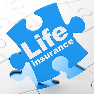 Life Insurance