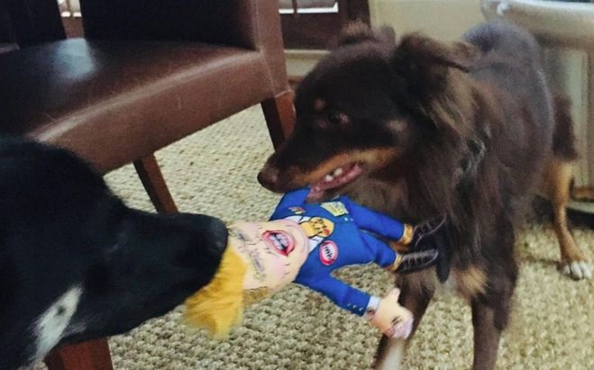 Trump-Chew-Toy-730x487