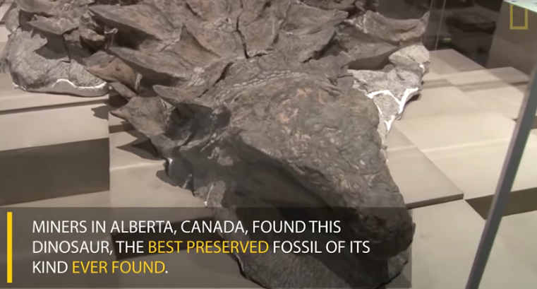 nodosaur mummy