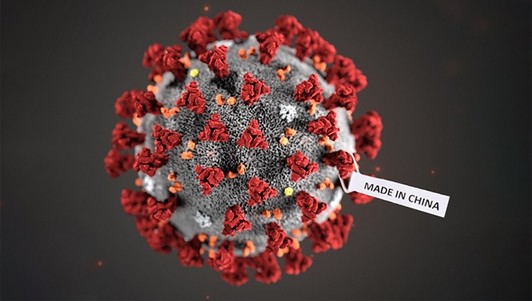 Made In China Virus