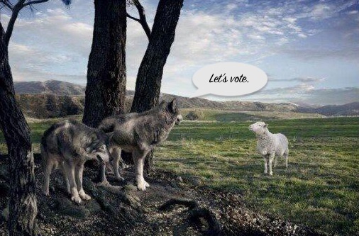 democracy wolves sheep