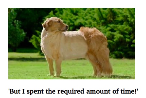 finish the job dog shaved